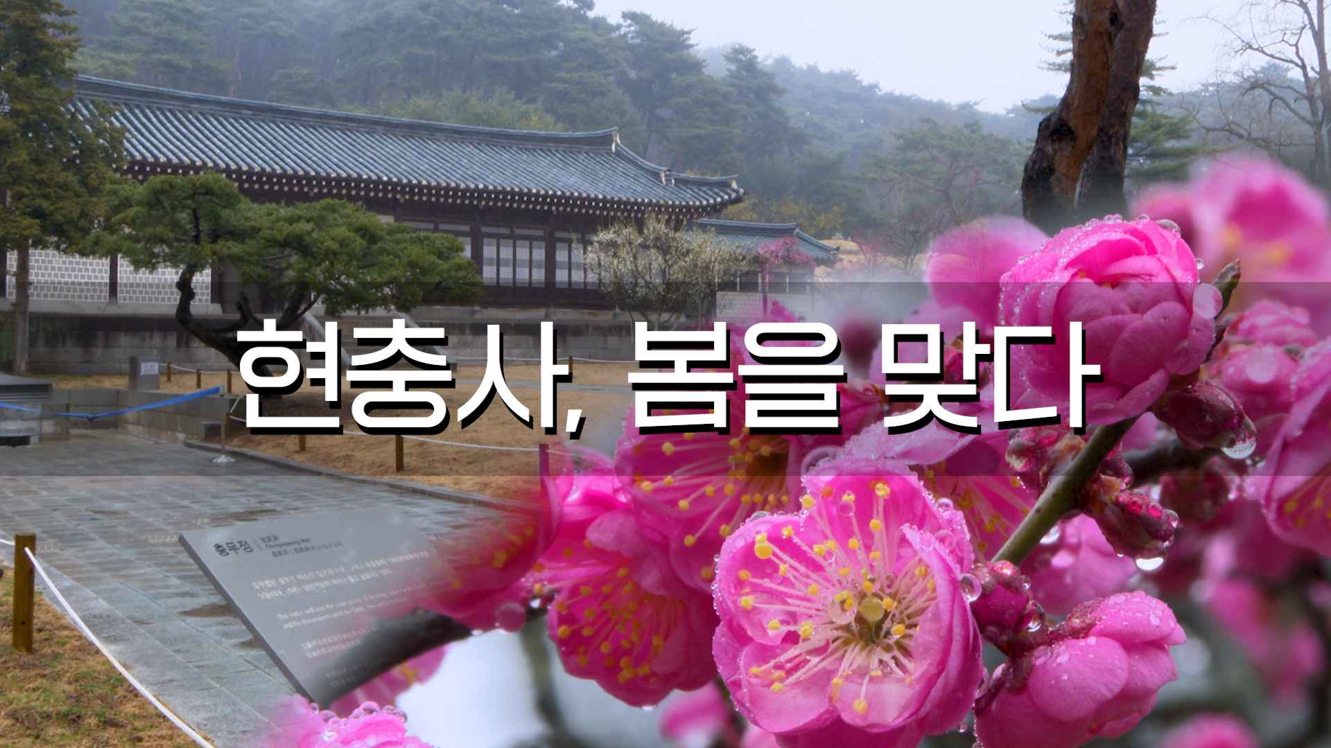 현충사, 봄을 맞다