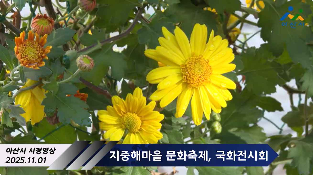 지중해마을 문화축제, 국화전시회