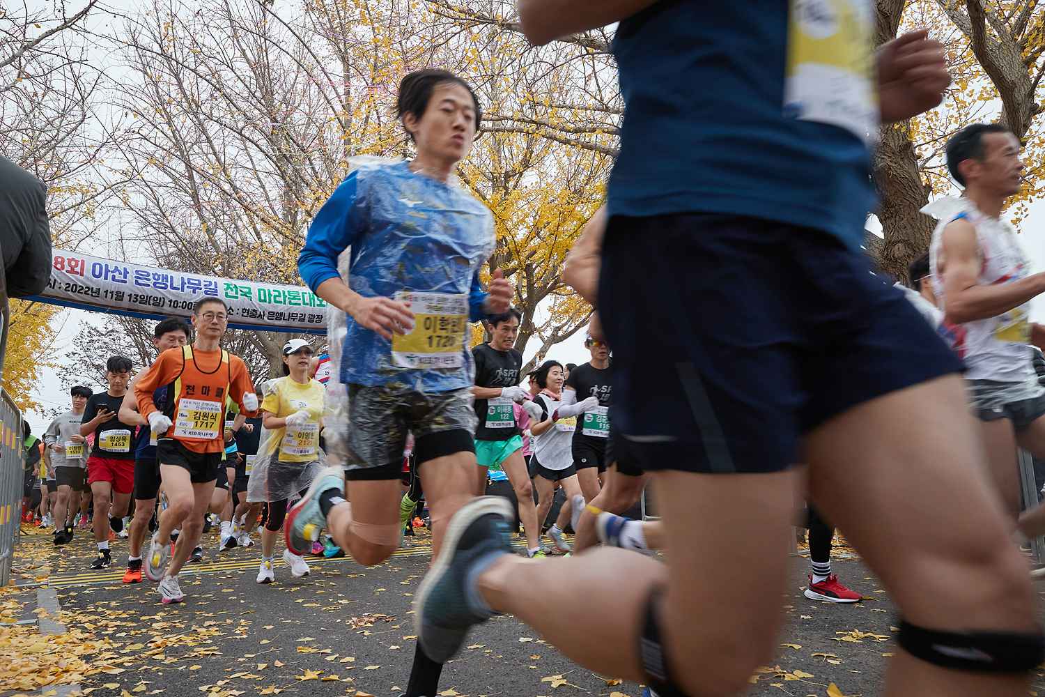 2022.11.13.제8회 은행나무길 전국 마라톤 대회