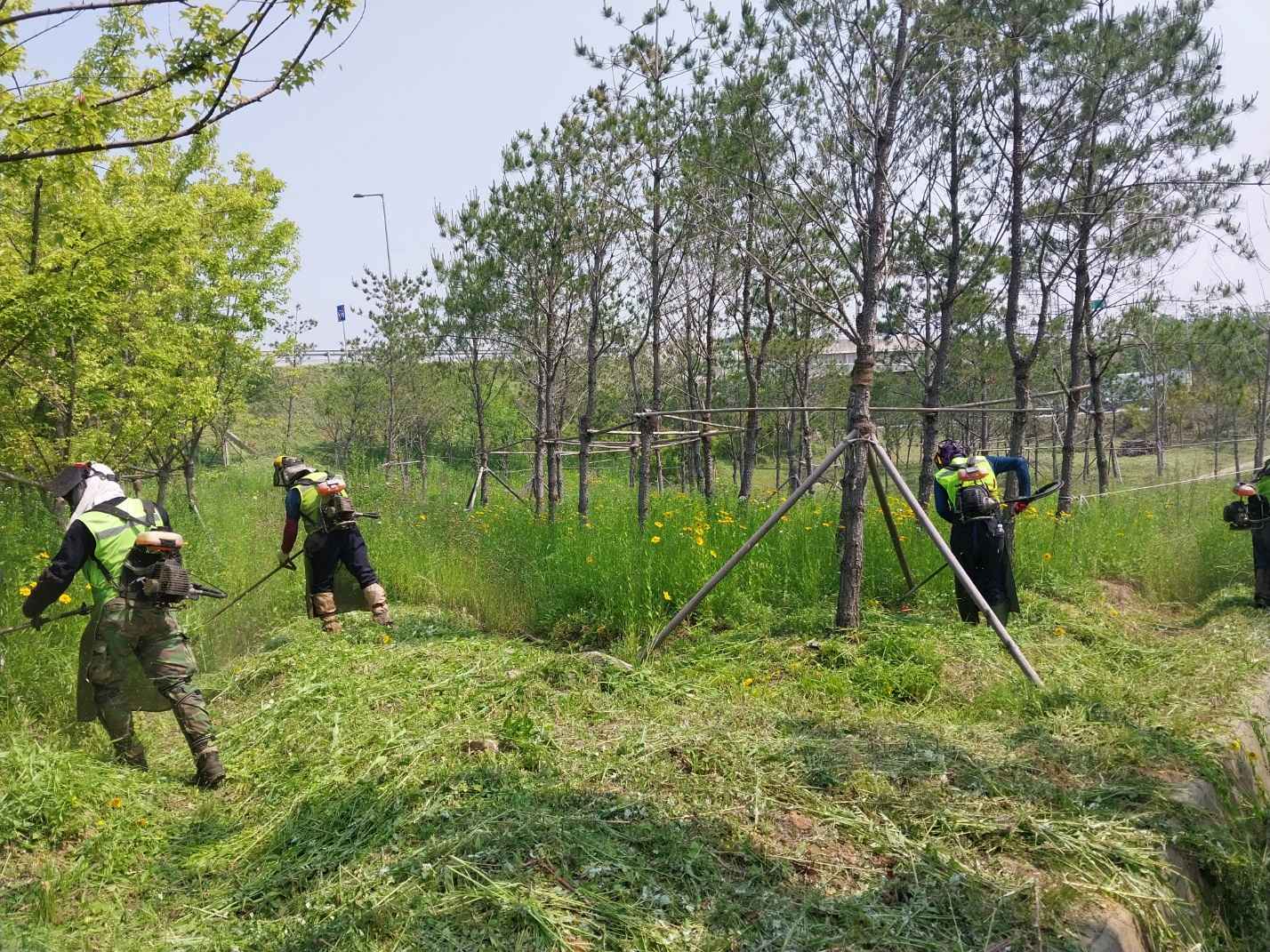 아산시, 교차로 녹지공간 환경정비로 ‘깨깔산멋’ 조성