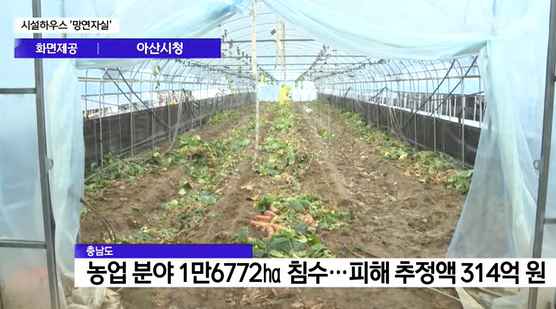 [Btv 중부뉴스] 농작물 시설하우스 복구 막막…지원 '절실'
