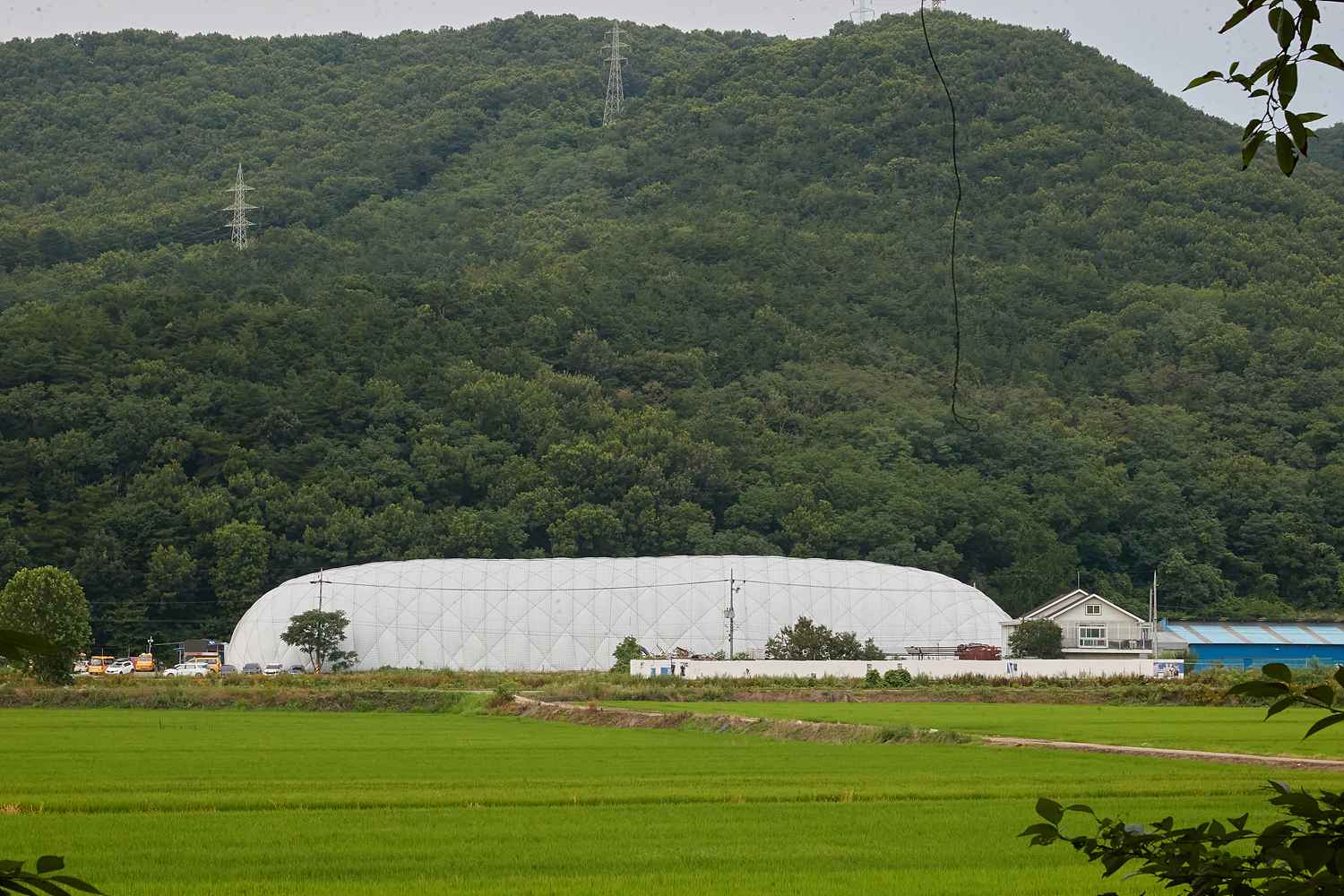 2025.07.15.직장동호회 격려방문(풋살)