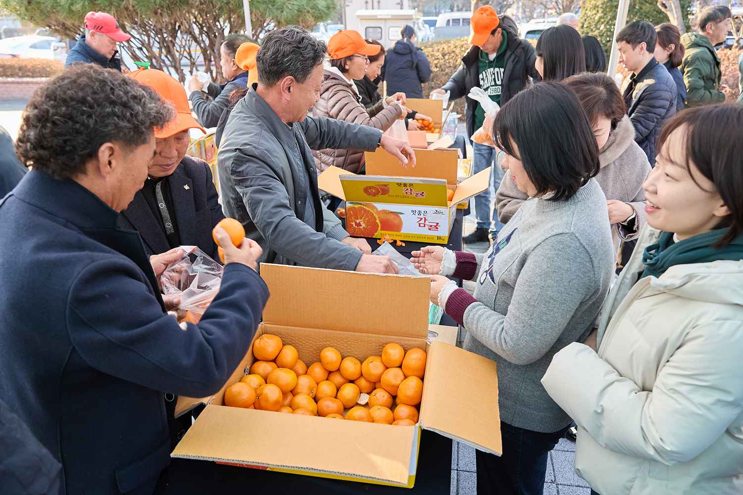 2025.12.09.농촌지도자회 농산물 교류사업 서귀포 감귤 홍보행사