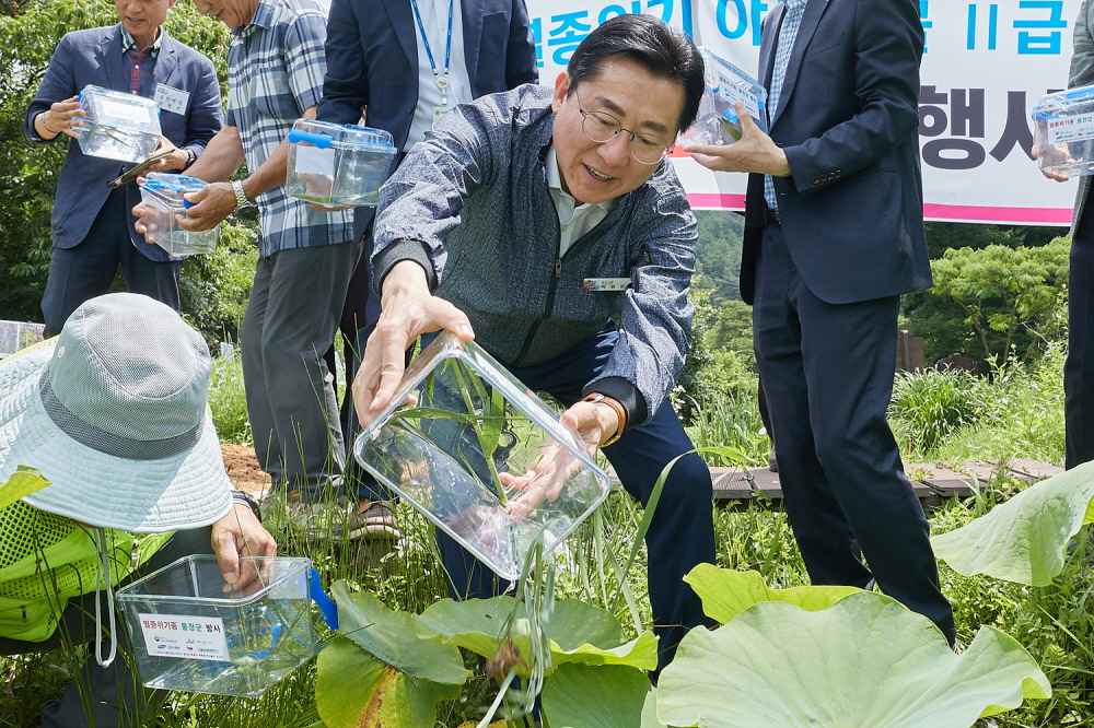 아산시, 송악면 반딧불이 서식지에 멸종위기종 물장군 70개체 방사 관련사진