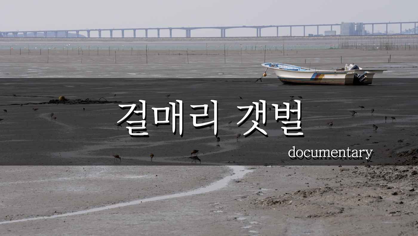 아산 걸매리 갯벌 documentary
