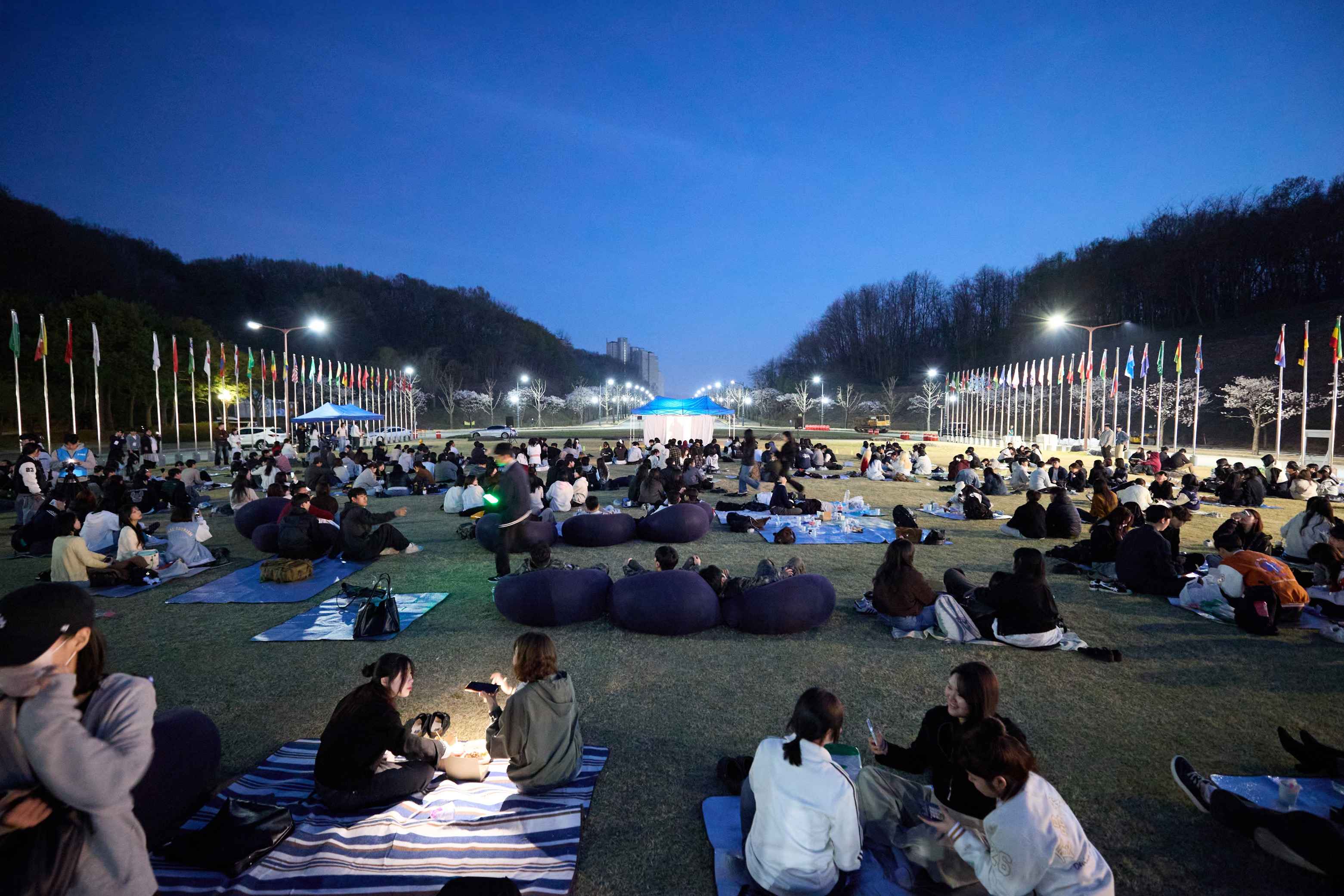 2026.04.08.선문대학교 벚꽃축제