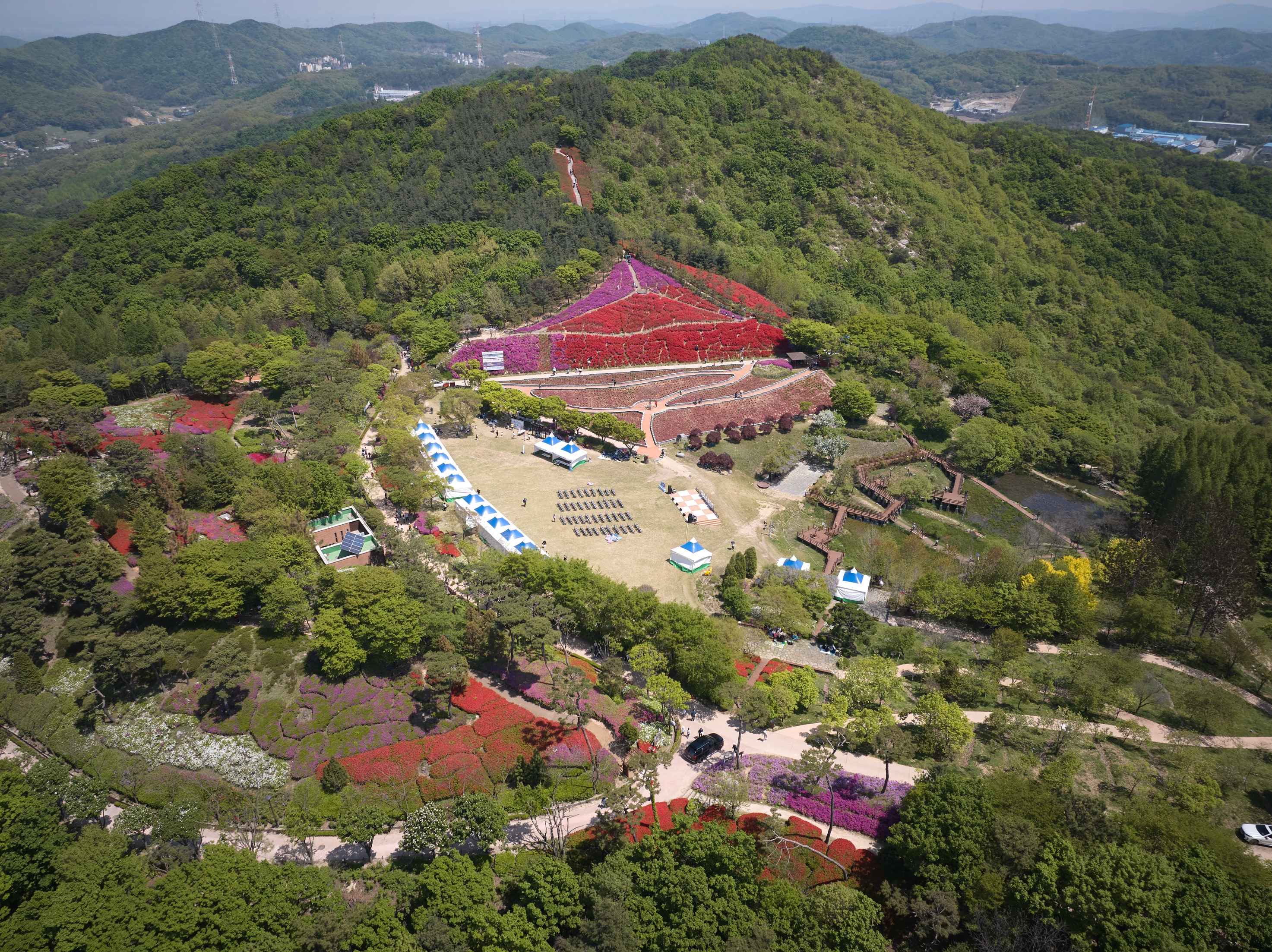2026.04.25.제4회 영인산 철쭉제